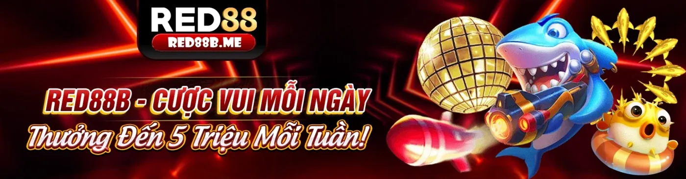 Hình ảnh tổng quan về các chương trình khuyến mãi hấp dẫn của Kubet 77.net