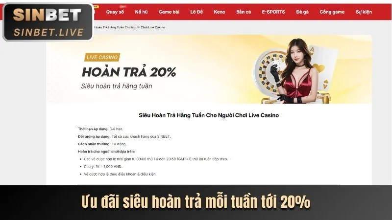 Tổng quan các loại hình khuyến mãi đa dạng tại Kubet 77.net